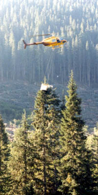 Branch collector lifting up