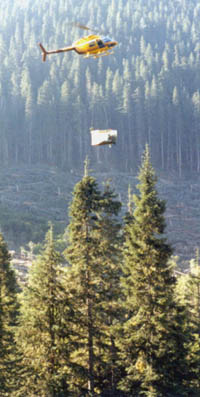 Branch collector moving to next tree