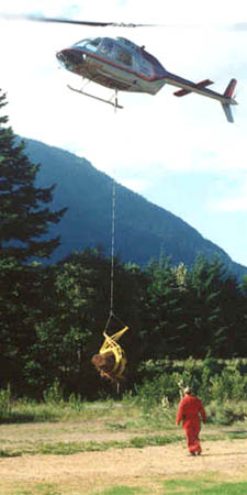 Fandrich aerial grapple carrying logs