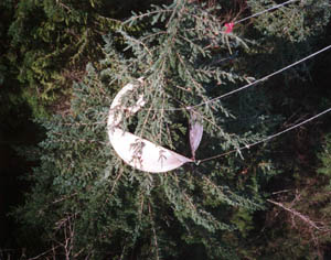 Fandrich delimber removing branches