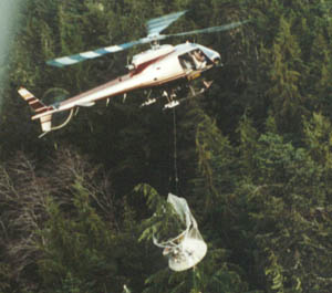 Pilots gain quick access to selected trees.