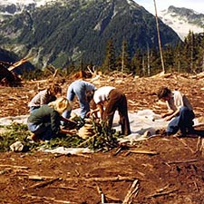 Sorting Cones