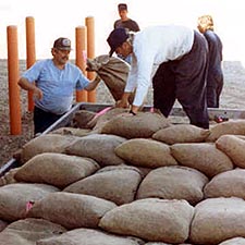 Bags of Cones